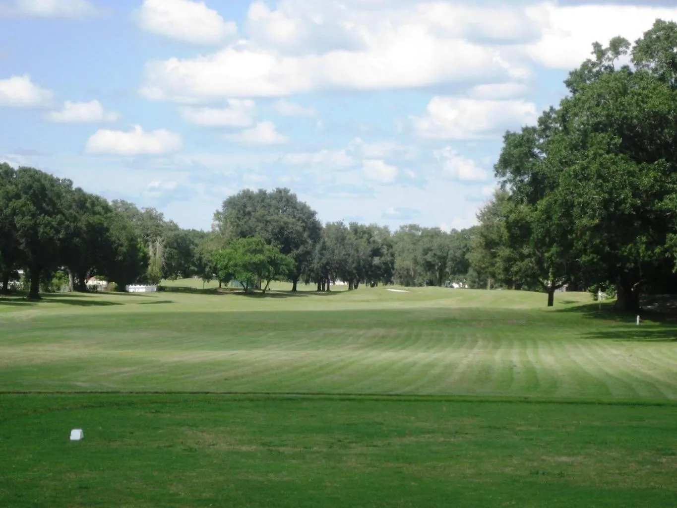 House Near Tampa Zoo And Busch Gardens, Free High Speed Wifi Villa United States